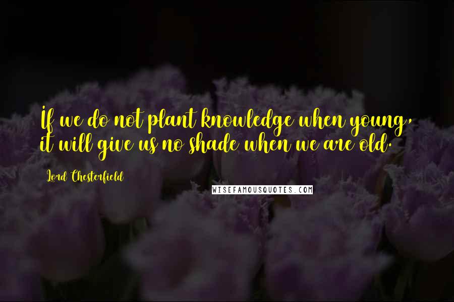 Lord Chesterfield Quotes: If we do not plant knowledge when young, it will give us no shade when we are old.