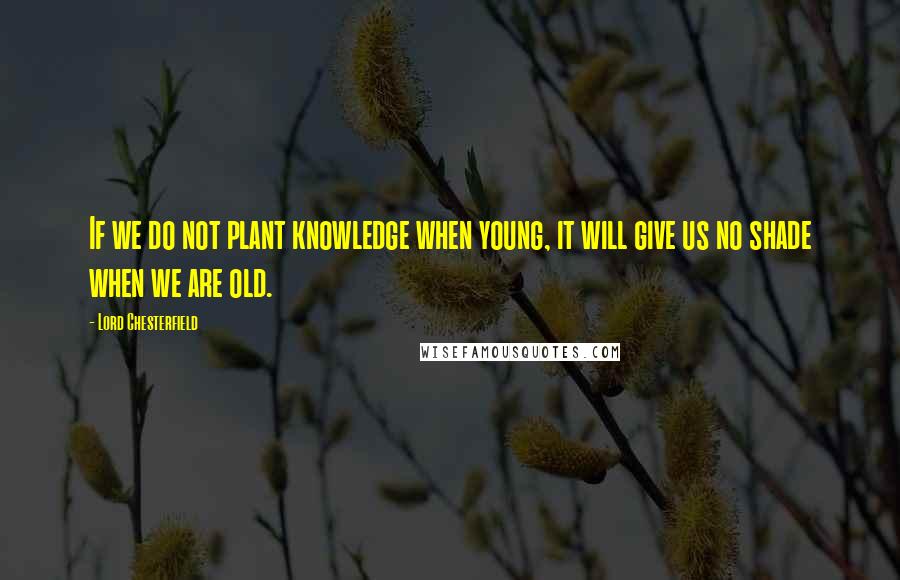 Lord Chesterfield Quotes: If we do not plant knowledge when young, it will give us no shade when we are old.