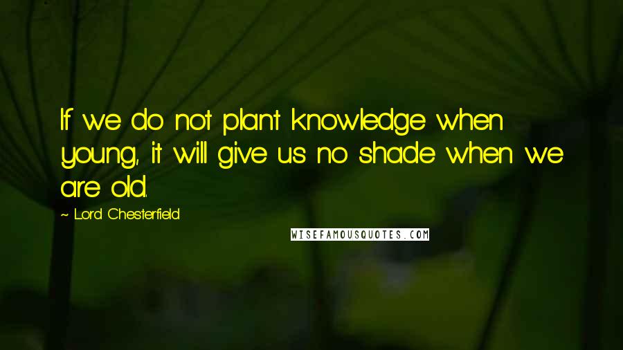 Lord Chesterfield Quotes: If we do not plant knowledge when young, it will give us no shade when we are old.