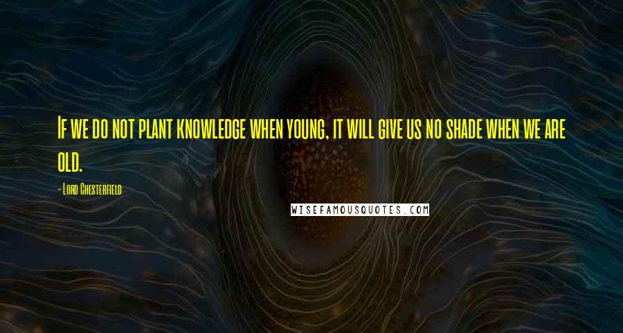 Lord Chesterfield Quotes: If we do not plant knowledge when young, it will give us no shade when we are old.