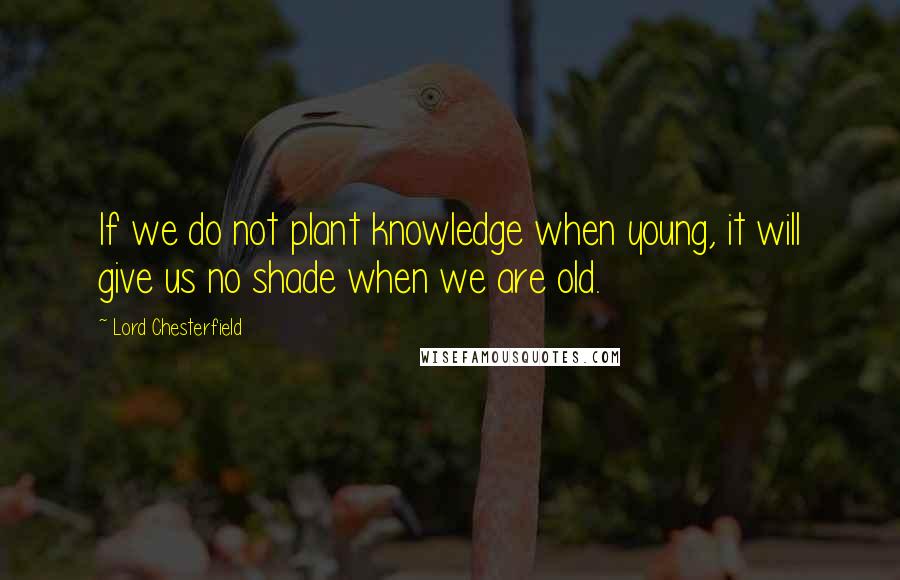 Lord Chesterfield Quotes: If we do not plant knowledge when young, it will give us no shade when we are old.