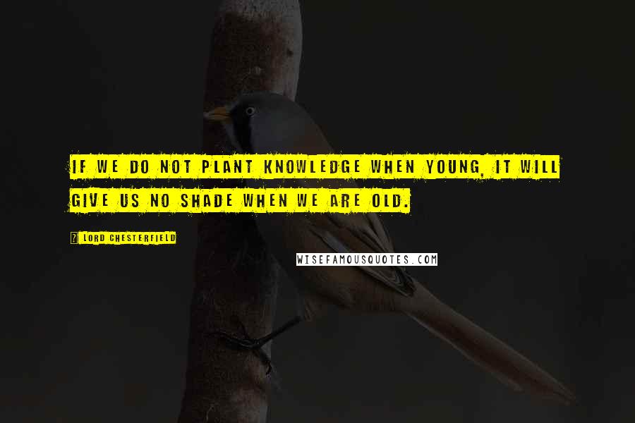 Lord Chesterfield Quotes: If we do not plant knowledge when young, it will give us no shade when we are old.