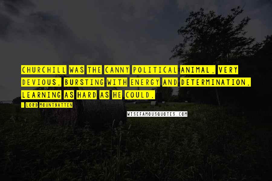 Lord Mountbatten Quotes: Churchill was the canny political animal, very devious, bursting with energy and determination, learning as hard as he could.