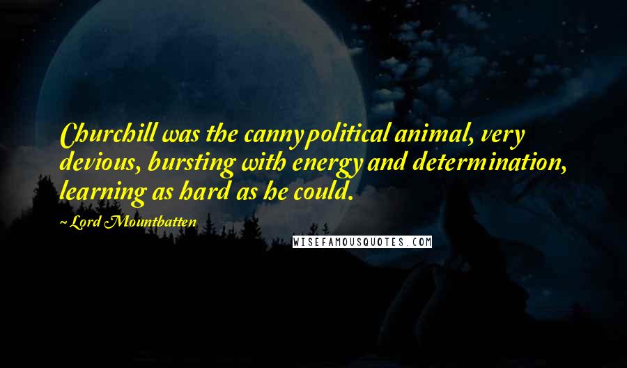 Lord Mountbatten Quotes: Churchill was the canny political animal, very devious, bursting with energy and determination, learning as hard as he could.