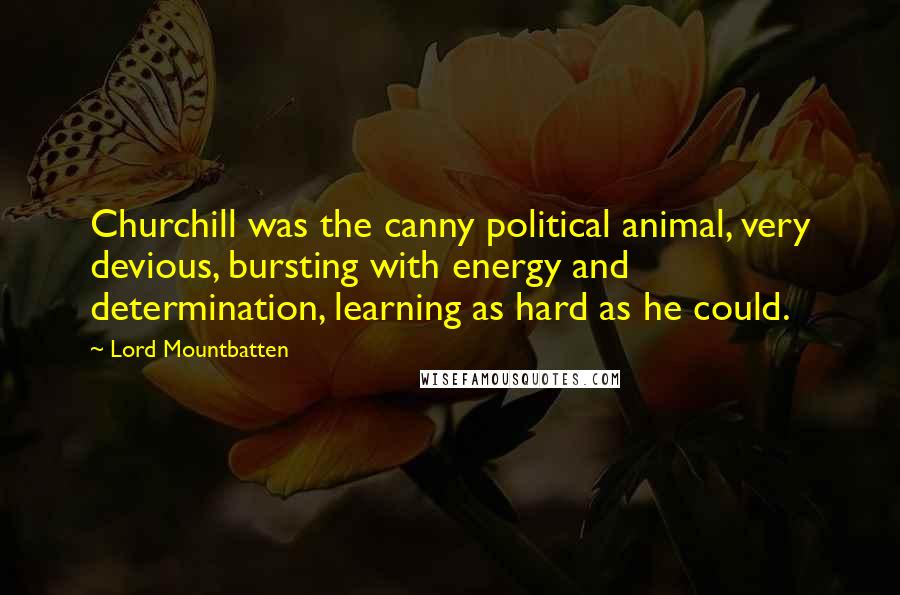 Lord Mountbatten Quotes: Churchill was the canny political animal, very devious, bursting with energy and determination, learning as hard as he could.