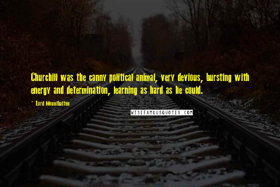 Lord Mountbatten Quotes: Churchill was the canny political animal, very devious, bursting with energy and determination, learning as hard as he could.