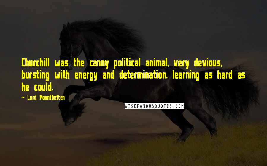 Lord Mountbatten Quotes: Churchill was the canny political animal, very devious, bursting with energy and determination, learning as hard as he could.