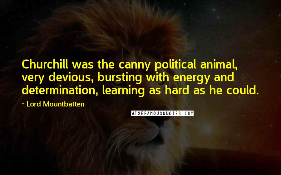 Lord Mountbatten Quotes: Churchill was the canny political animal, very devious, bursting with energy and determination, learning as hard as he could.