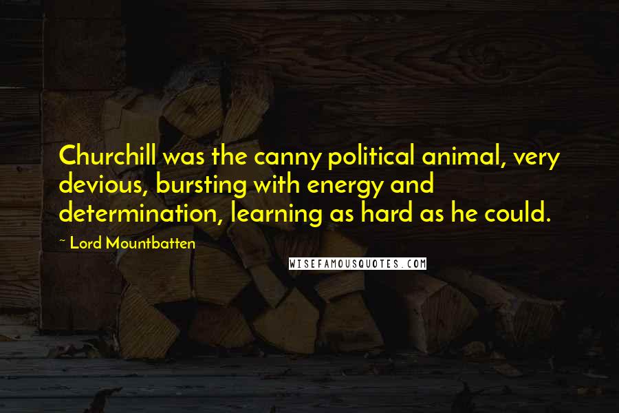 Lord Mountbatten Quotes: Churchill was the canny political animal, very devious, bursting with energy and determination, learning as hard as he could.