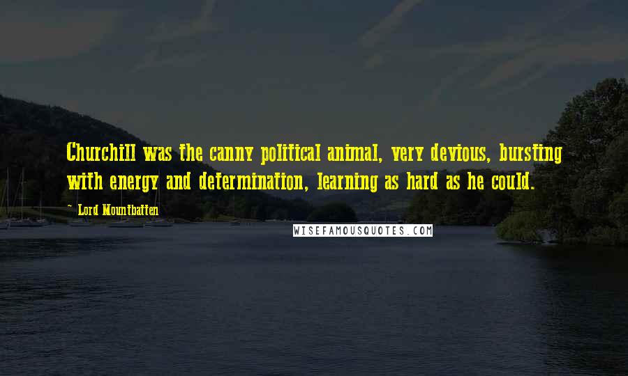 Lord Mountbatten Quotes: Churchill was the canny political animal, very devious, bursting with energy and determination, learning as hard as he could.