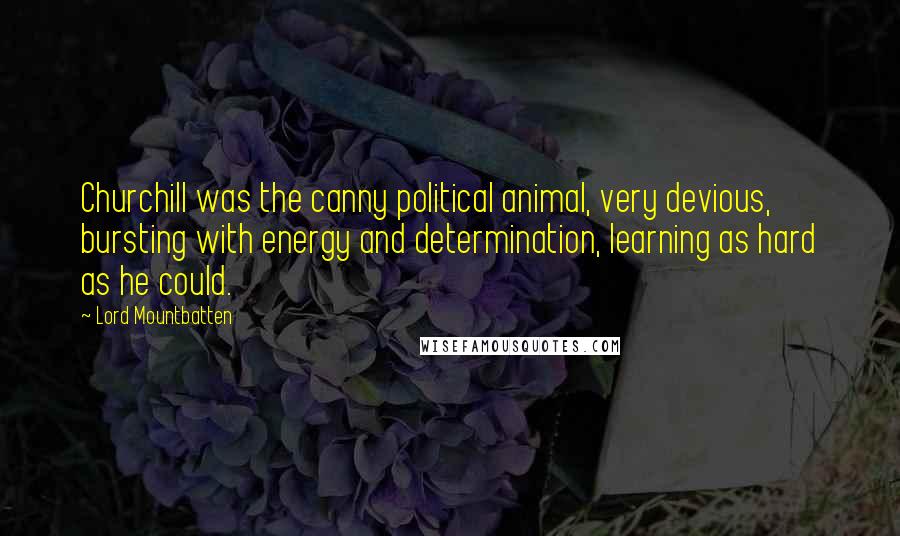 Lord Mountbatten Quotes: Churchill was the canny political animal, very devious, bursting with energy and determination, learning as hard as he could.