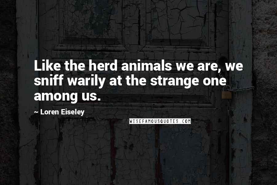 Loren Eiseley Quotes: Like the herd animals we are, we sniff warily at the strange one among us.