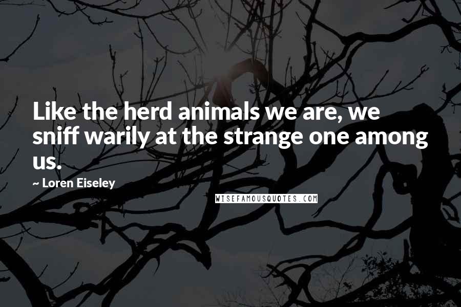 Loren Eiseley Quotes: Like the herd animals we are, we sniff warily at the strange one among us.