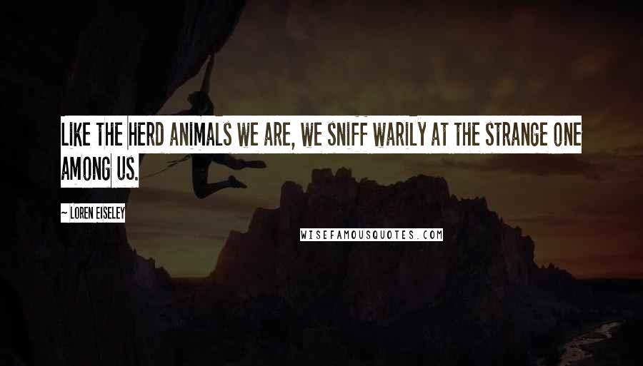 Loren Eiseley Quotes: Like the herd animals we are, we sniff warily at the strange one among us.