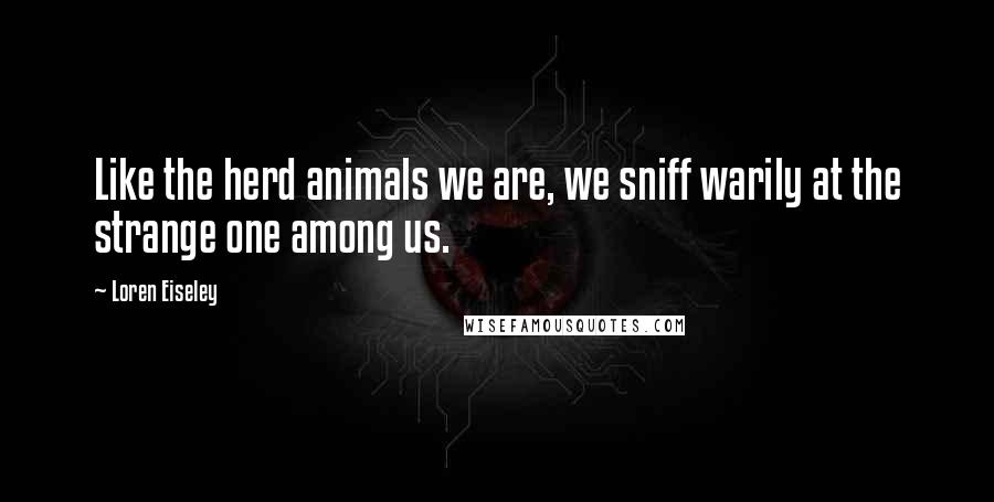 Loren Eiseley Quotes: Like the herd animals we are, we sniff warily at the strange one among us.