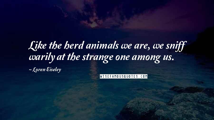 Loren Eiseley Quotes: Like the herd animals we are, we sniff warily at the strange one among us.