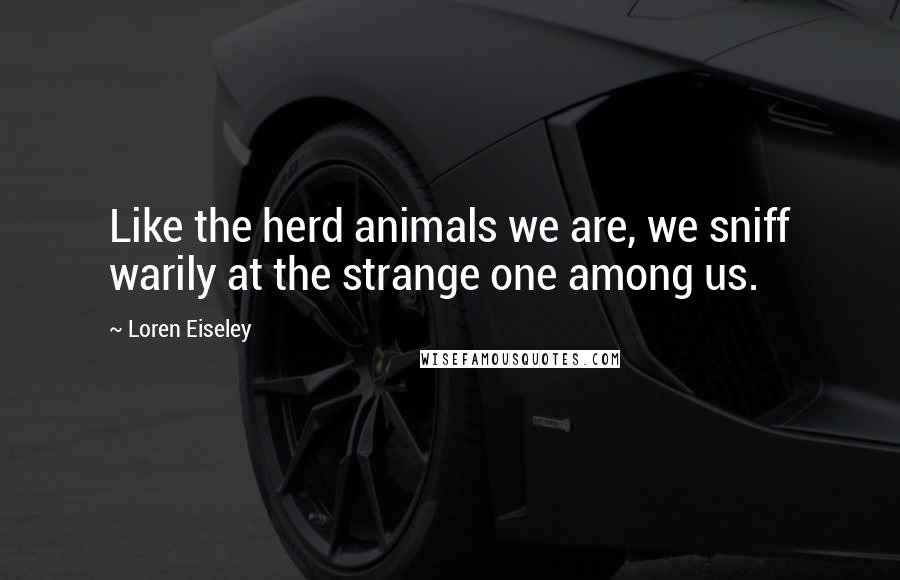 Loren Eiseley Quotes: Like the herd animals we are, we sniff warily at the strange one among us.