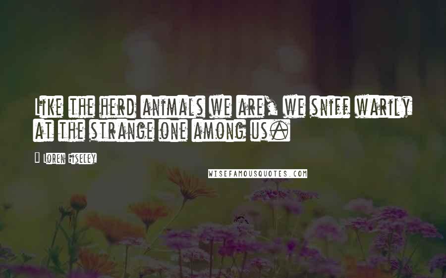 Loren Eiseley Quotes: Like the herd animals we are, we sniff warily at the strange one among us.