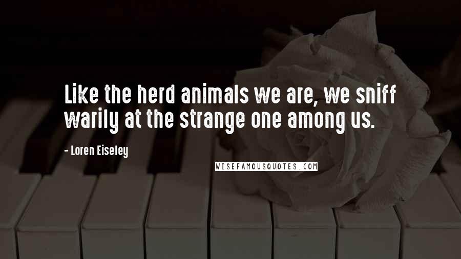 Loren Eiseley Quotes: Like the herd animals we are, we sniff warily at the strange one among us.
