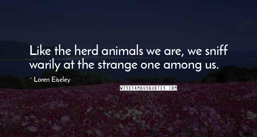 Loren Eiseley Quotes: Like the herd animals we are, we sniff warily at the strange one among us.