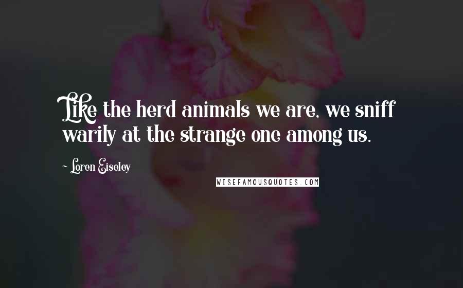 Loren Eiseley Quotes: Like the herd animals we are, we sniff warily at the strange one among us.