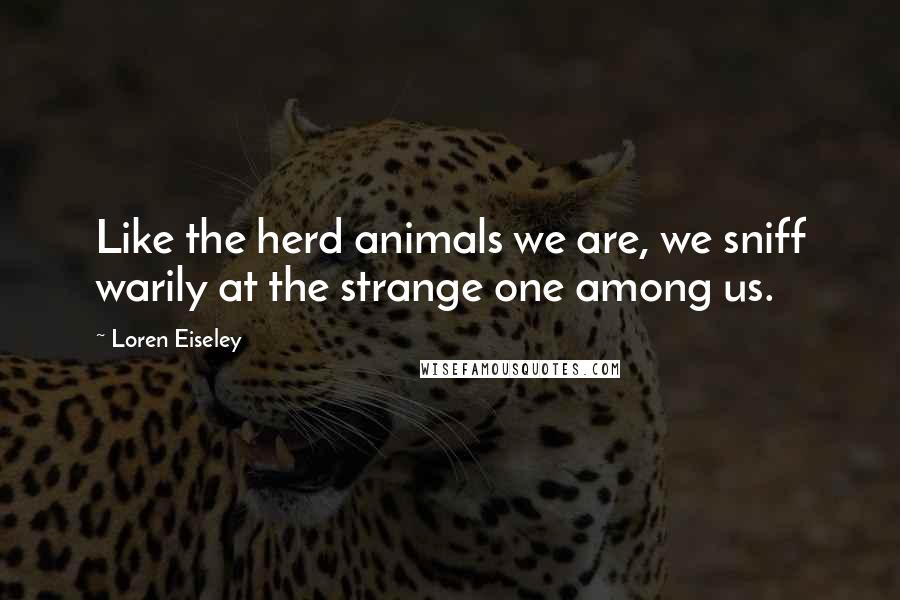 Loren Eiseley Quotes: Like the herd animals we are, we sniff warily at the strange one among us.