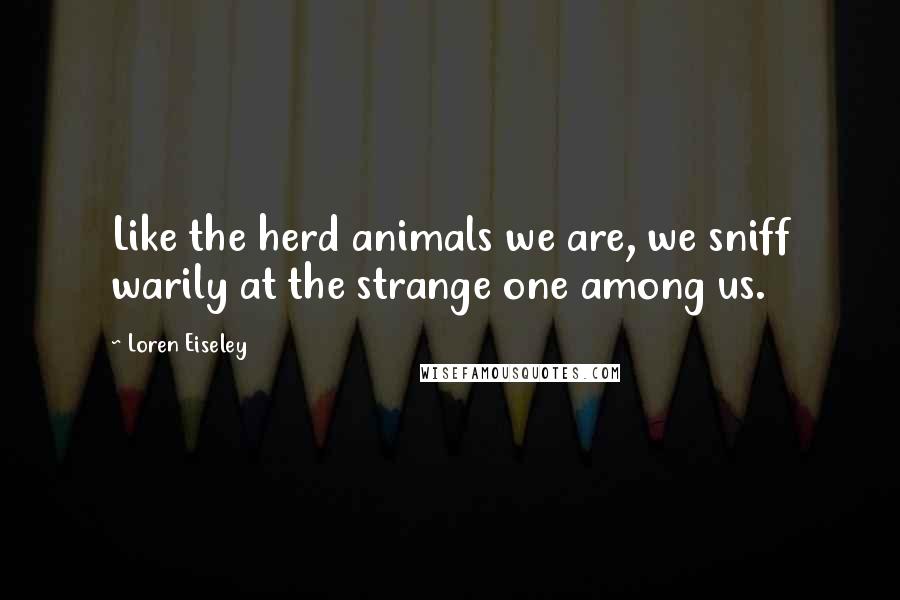 Loren Eiseley Quotes: Like the herd animals we are, we sniff warily at the strange one among us.