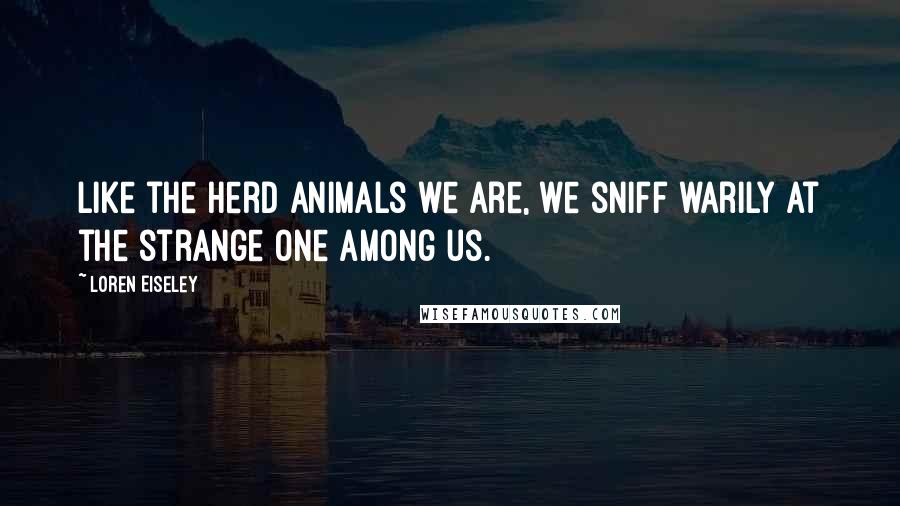 Loren Eiseley Quotes: Like the herd animals we are, we sniff warily at the strange one among us.