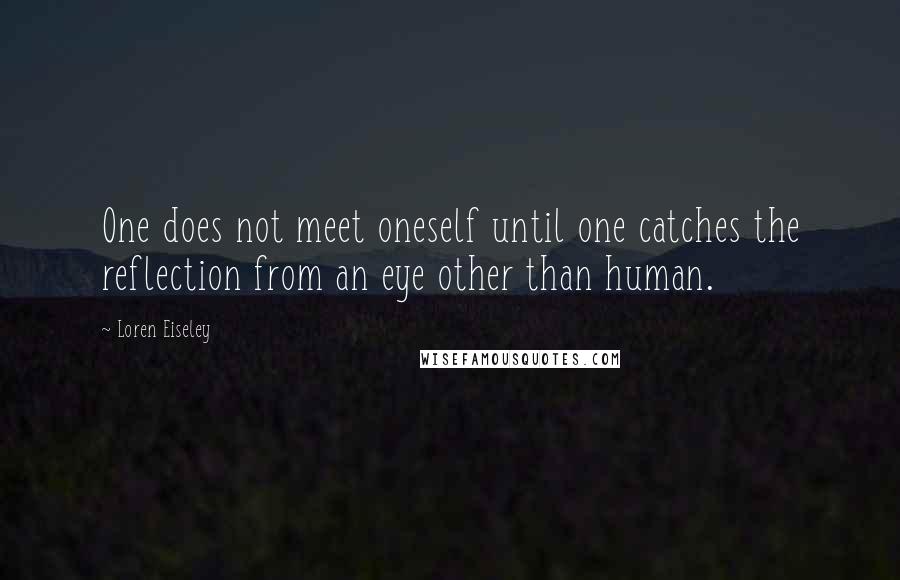 Loren Eiseley Quotes: One does not meet oneself until one catches the reflection from an eye other than human.