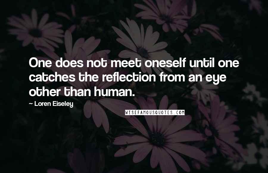 Loren Eiseley Quotes: One does not meet oneself until one catches the reflection from an eye other than human.