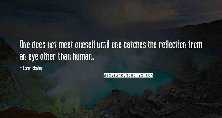 Loren Eiseley Quotes: One does not meet oneself until one catches the reflection from an eye other than human.