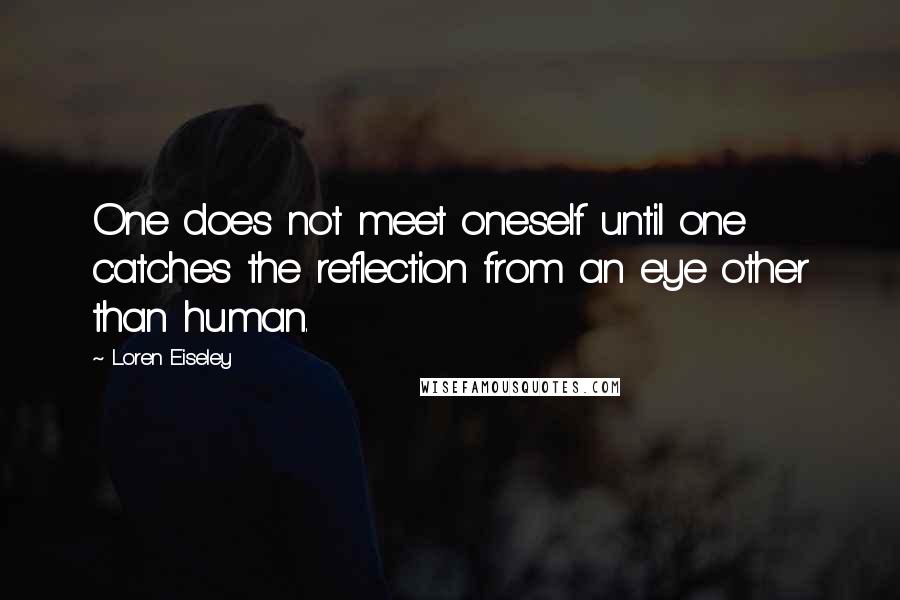 Loren Eiseley Quotes: One does not meet oneself until one catches the reflection from an eye other than human.