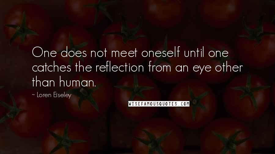 Loren Eiseley Quotes: One does not meet oneself until one catches the reflection from an eye other than human.