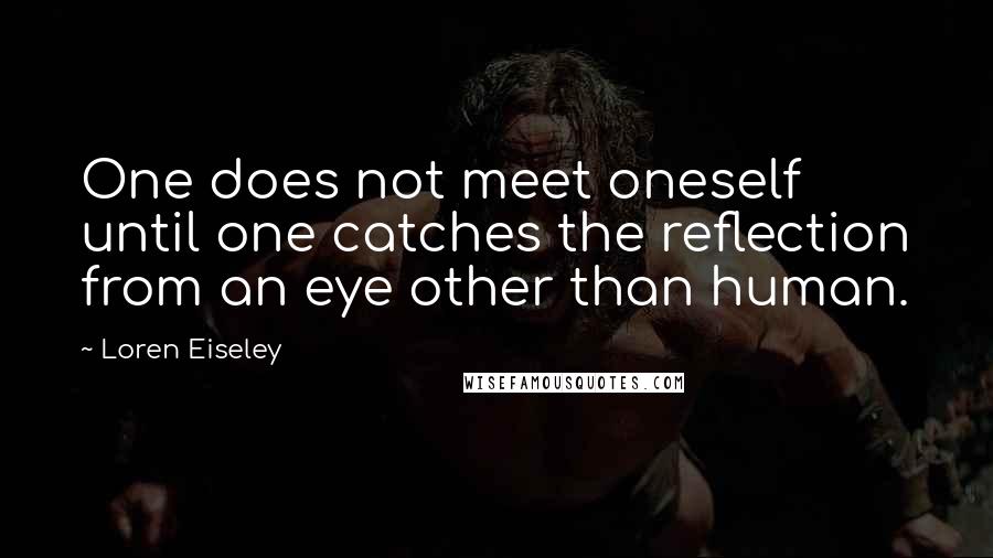 Loren Eiseley Quotes: One does not meet oneself until one catches the reflection from an eye other than human.