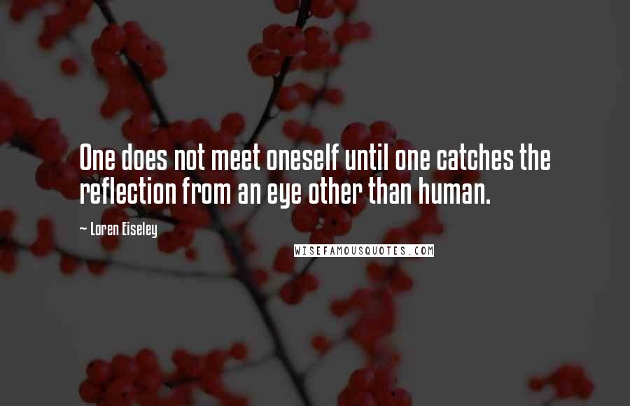 Loren Eiseley Quotes: One does not meet oneself until one catches the reflection from an eye other than human.