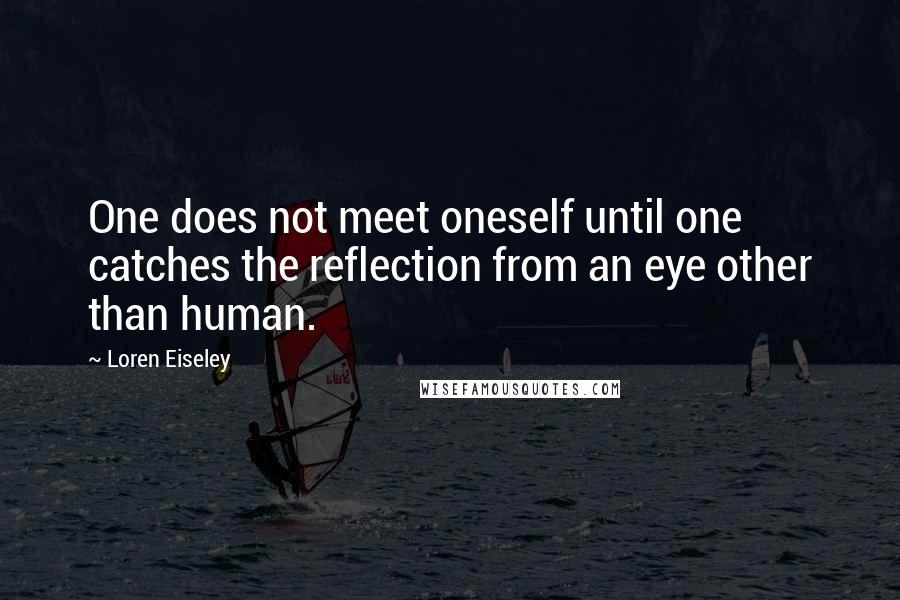 Loren Eiseley Quotes: One does not meet oneself until one catches the reflection from an eye other than human.