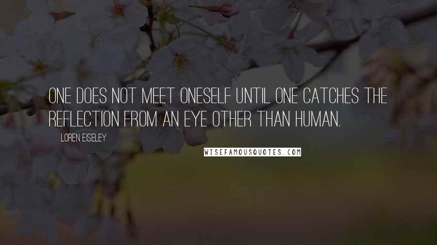 Loren Eiseley Quotes: One does not meet oneself until one catches the reflection from an eye other than human.