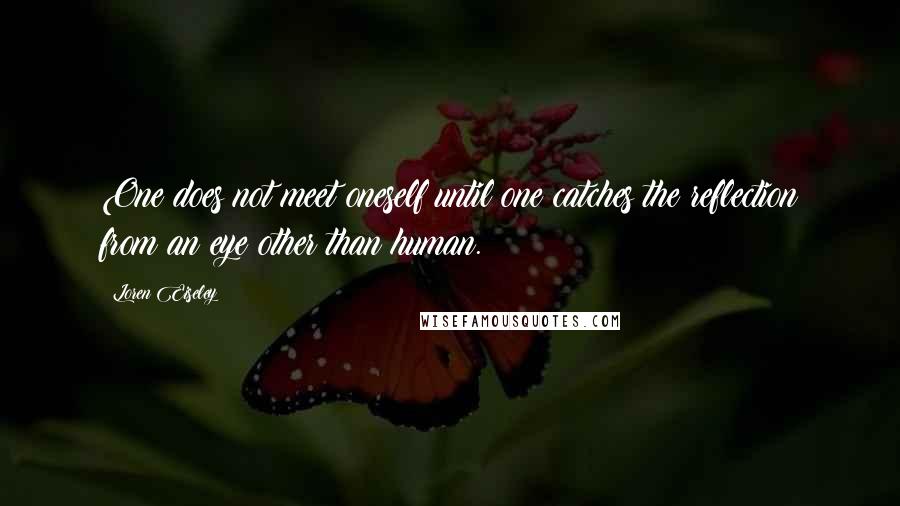 Loren Eiseley Quotes: One does not meet oneself until one catches the reflection from an eye other than human.