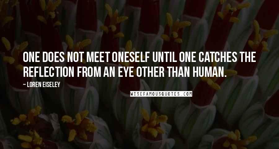 Loren Eiseley Quotes: One does not meet oneself until one catches the reflection from an eye other than human.