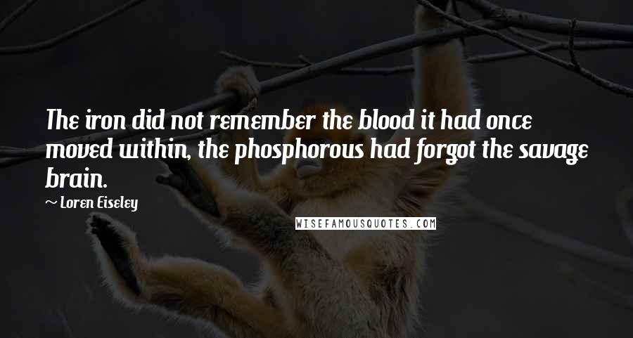 Loren Eiseley Quotes: The iron did not remember the blood it had once moved within, the phosphorous had forgot the savage brain.