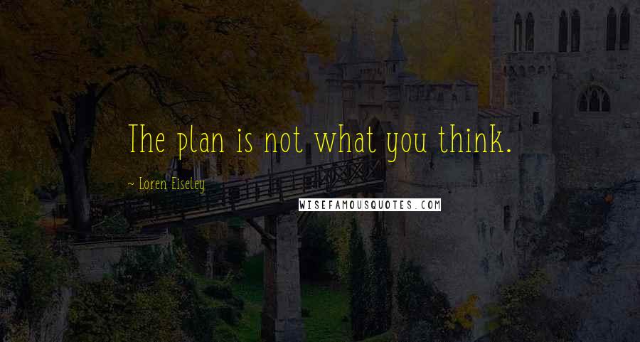 Loren Eiseley Quotes: The plan is not what you think.