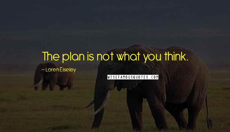 Loren Eiseley Quotes: The plan is not what you think.