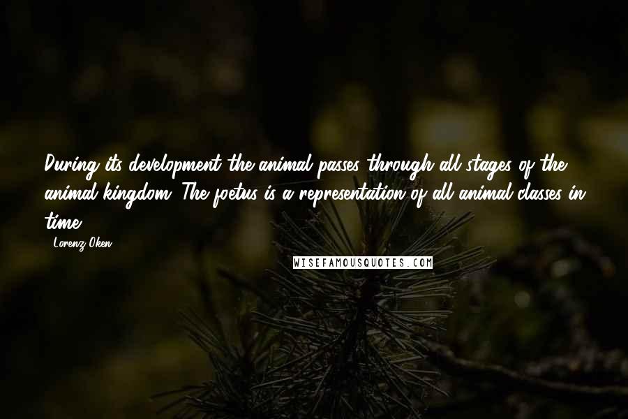 Lorenz Oken Quotes: During its development the animal passes through all stages of the animal kingdom. The foetus is a representation of all animal classes in time.