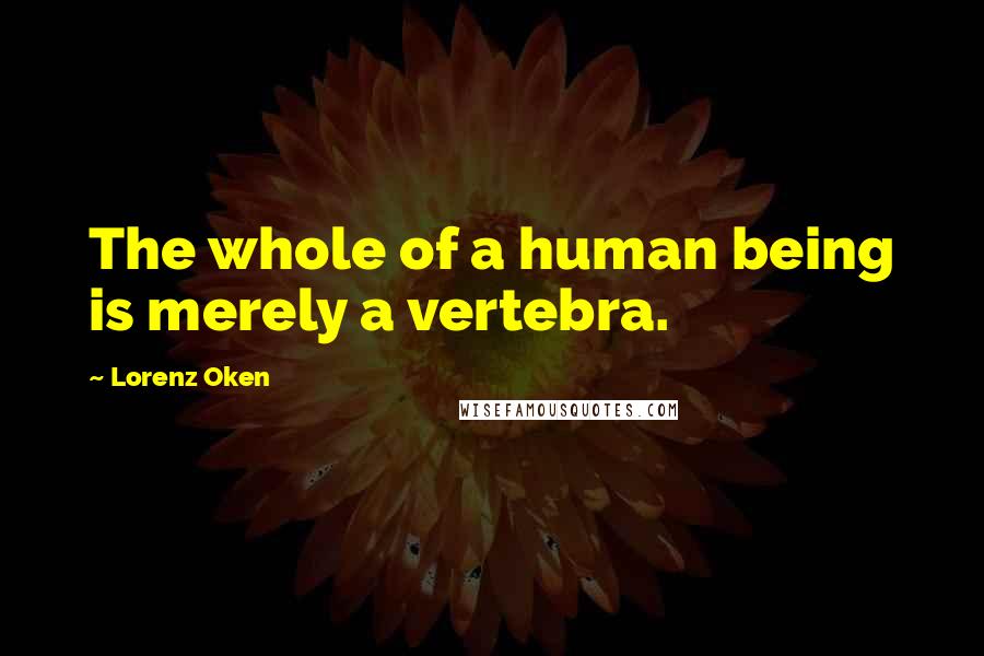 Lorenz Oken Quotes: The whole of a human being is merely a vertebra.