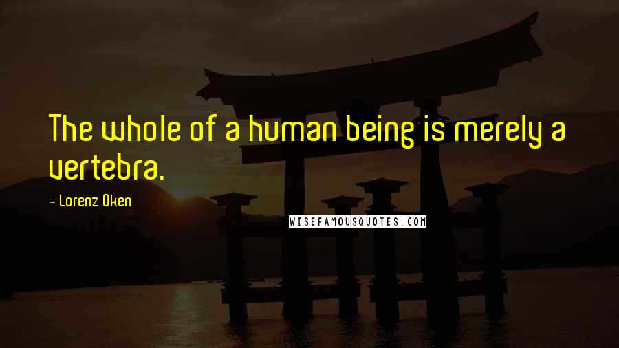 Lorenz Oken Quotes: The whole of a human being is merely a vertebra.