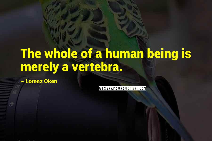 Lorenz Oken Quotes: The whole of a human being is merely a vertebra.