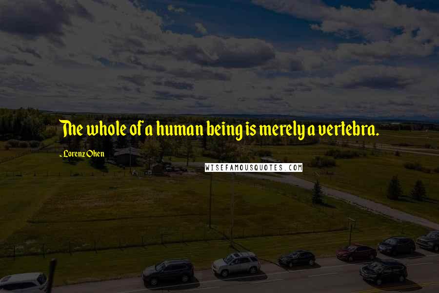 Lorenz Oken Quotes: The whole of a human being is merely a vertebra.