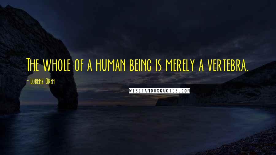 Lorenz Oken Quotes: The whole of a human being is merely a vertebra.