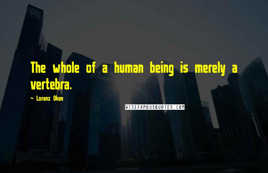 Lorenz Oken Quotes: The whole of a human being is merely a vertebra.