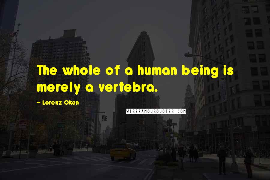 Lorenz Oken Quotes: The whole of a human being is merely a vertebra.